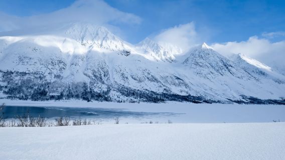 Tromsø: Tour tham quan trong ngày các vịnh hẹp, núi non và thành phố nổi bật