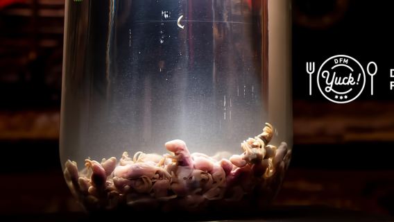 Palma: Disgusting Food Museum Entry Ticket