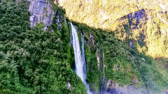 From Queenstown: Milford Sound Premium Day Tour and Cruise