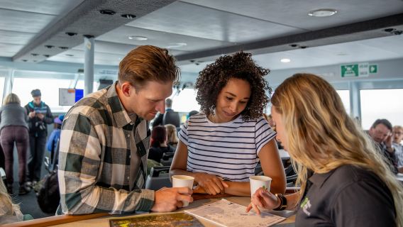 Stewart Island: Ferry Service Between Bluff & Stewart Island