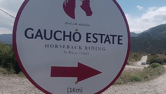 Mendoza: Horseback Riding in the Andes with Authentic BBQ