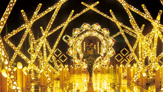 【10月嵐山月燈節限定】嵐山花燈路&伏見稻荷大社&奈良一日遊