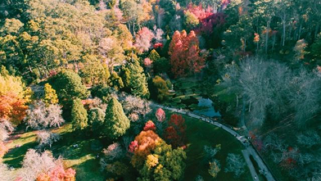 Hahndorf German Village + Adelaide Hills 1-day Tour (11-Person Group + Chinese-Speaking Driver-Guide + City Transfers)