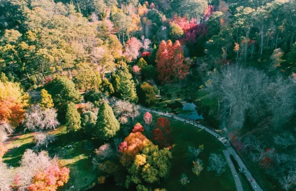 南澳德國村+阿德萊德山一日遊【11人團+中文司導+市區接送】