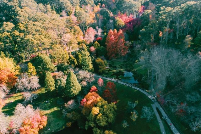 南澳德國村+阿德萊德山一日遊【11人團+中文司導+市區接送】