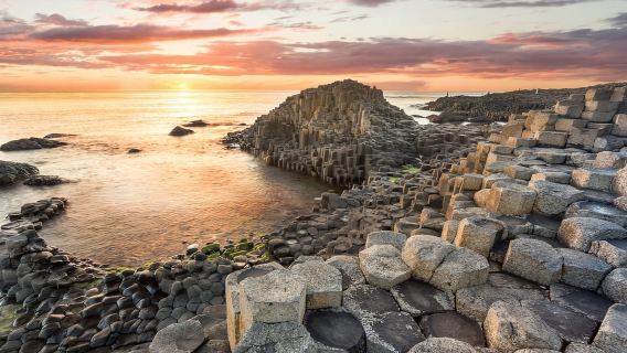 Dublin: Chuyến tham quan Giants Causeway, Dark Hedges, Dunluce và Belfast