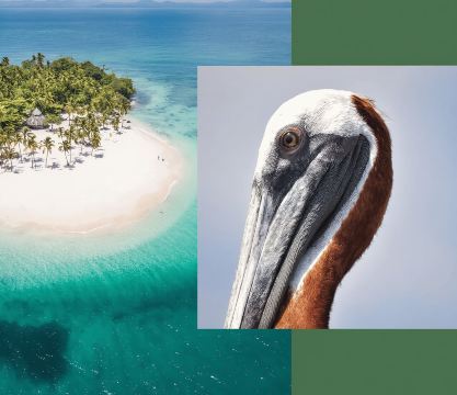 From Punta Canta: Whale Watching Cruise with Cayo Levantado