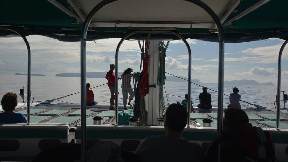 Ab Funchal: Ganztägiger Katamaranausflug zu den Desertas-Inseln