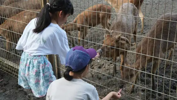 雪蘭莪州:國家動物園電子門票