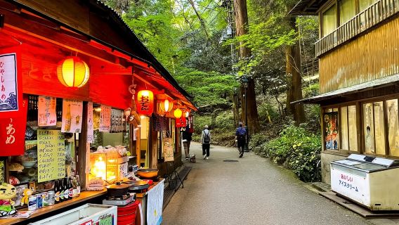 Tagesausflug in Osaka: Mino, Katsuoji-Tempel & Minoh-Wasserfälle