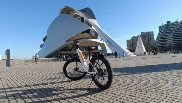 Valencia: The Albufera Lake Self-Guided E-Bike Tour