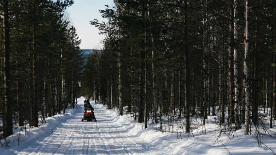 Rovaniemi: avventura in motoslitta e pesca sul ghiaccio con pranzo