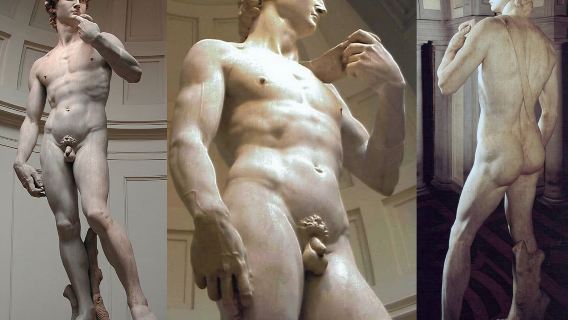 Accademia Gallery Ticket with Direct Access and optional Guided City Tour