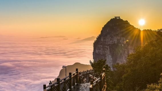 ทัวร์ส่วนตัวพร้อมไกด์นำเที่ยวหนึ่งวันในจางเจียเจี้ย | ภูเขาเทียนเหมิน + ชมวิว 72 สิ่งมหัศจรรย์ยามค่ำคืน