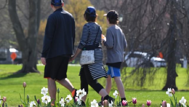 Niagara Falls Day Tour from Toronto Airport with Boat & Journey