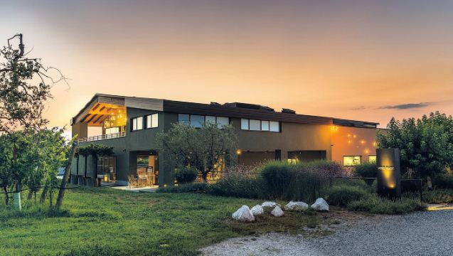 Desenzano: Lugana Wine-Tasting and Vineyard Tour