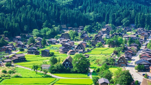 Nagoya: Shirakawa-go, Gujo, Hida Takayama Historic Day Tour