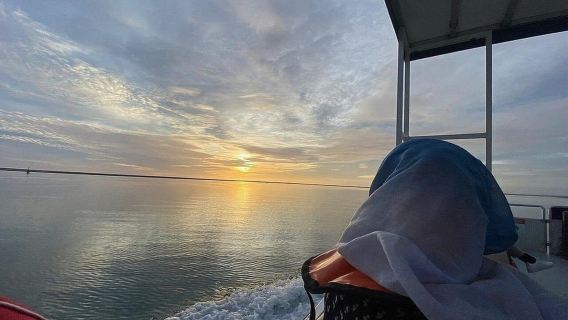 Faro: Tour guiado al atardecer por la Ría Formosa en catamarán