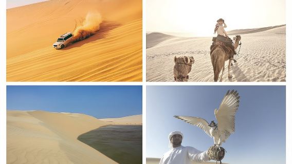 Desert Safari and Inland Sea(Private Tour)