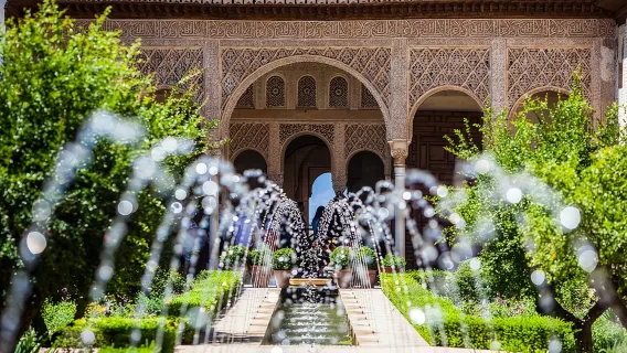 Tour privato dell'Alhambra con i Palazzi Nazaries
