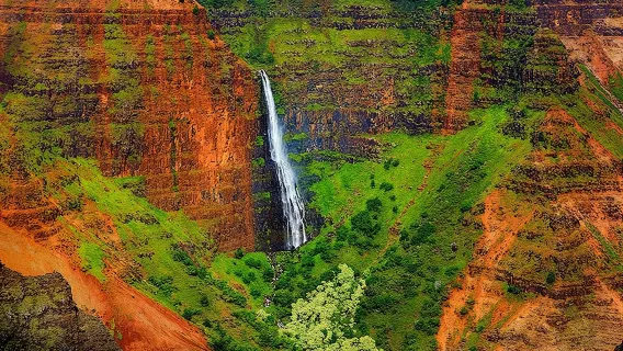 Kauai Waimea Canyon and Koke'e Tour