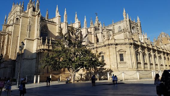 Visita guidata della Cattedrale di Siviglia