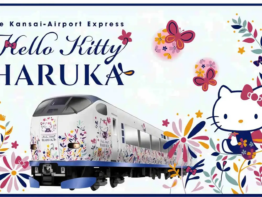 Official ticket] JR Haruka Kansai Airport Limited Express ticket