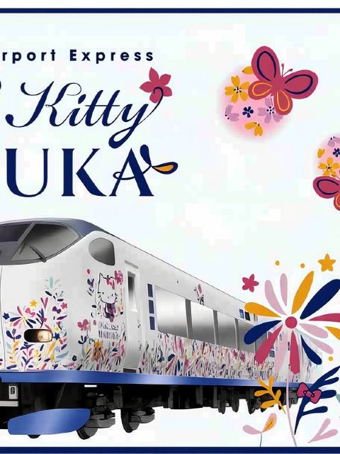 JR HARUKA 關西機場特急 車票(電子票券/實體票【需兌換】可選)