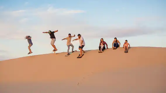 See Koalas|Lunch included|Chinese-speaking driver-guide] Sydney Port Stephens dolphin watching + sandboarding 1-day tour