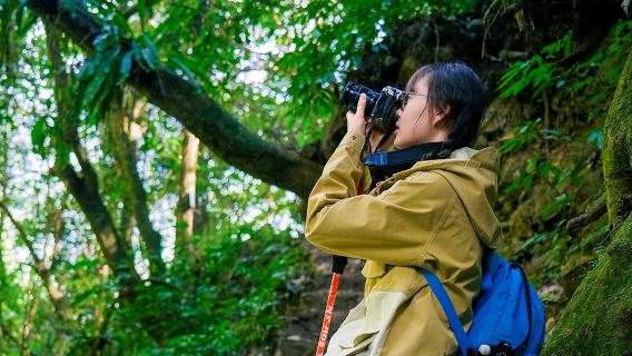 高黎貢山百花嶺健行一日遊(陰陽谷野溫泉+專業導遊+觀鳥+餐)