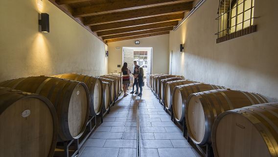 Barolo