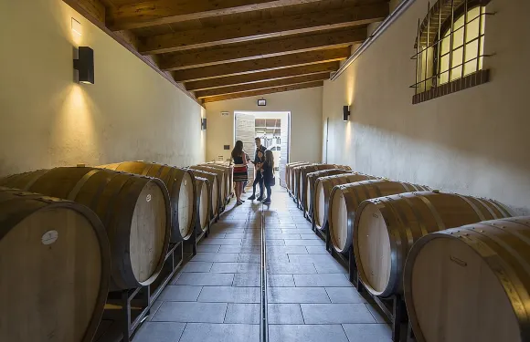 巴羅洛葡萄酒之旅