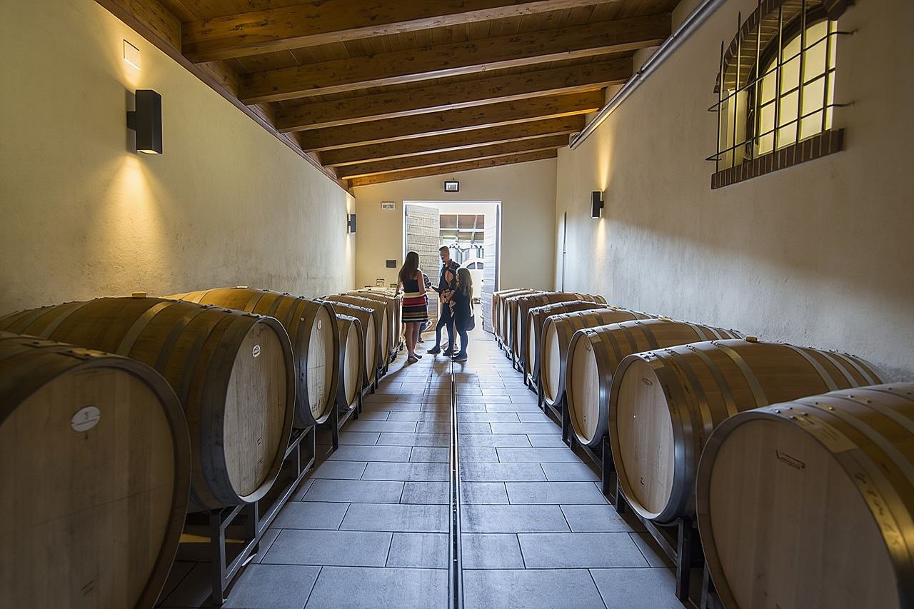 Tour del vino Barolo
