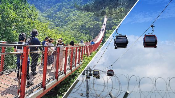 Excursión guiada a la DMZ desde Seúl con puente colgante o teleférico.