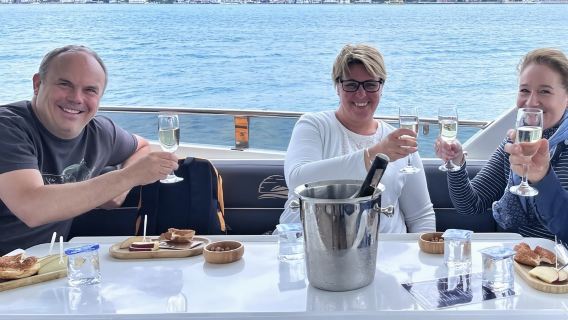 From Istanbul: Afternoon Bosphorus Cruise with Stopover on the Asian Side with Pick up and Snacks