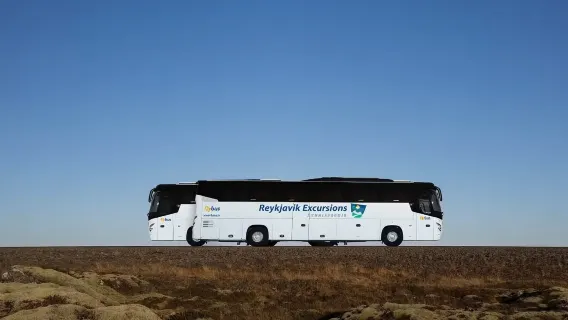 Reykjavik: Biglietto bus Flybus sola andata dall'Aeroporto Internazionale di Keflavík (KEF) alla stazione centrale BSI [Acquista e parti subito/Risparmia tempo e comodità]