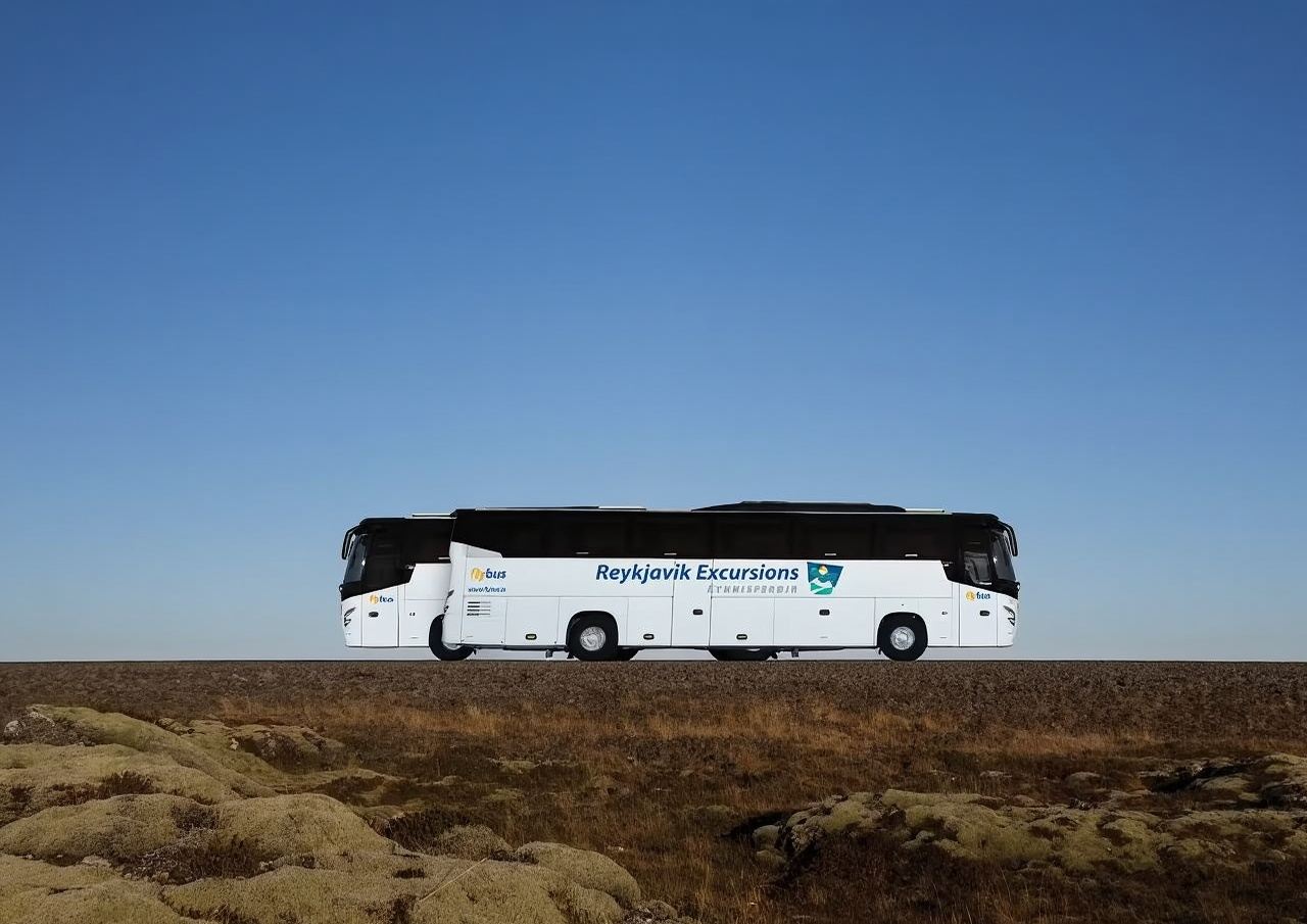 Flybus One-Way Ticket: Keflavik Airport (KEF) to Reykjavik BSI Bus Terminal