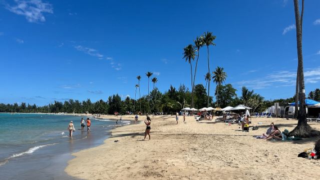 El Yunque Rainforest Waterslides and Luquillo Beach w/ Transport