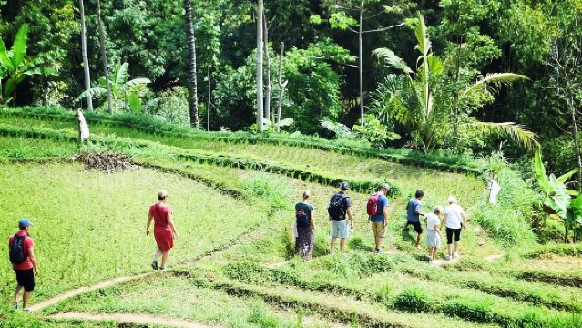Tetebatu Walking Tour - Rice Terraces, Waterfall & Monkey Forest