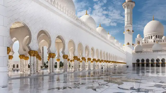 從杜拜出發的阿布達比私人城市之旅