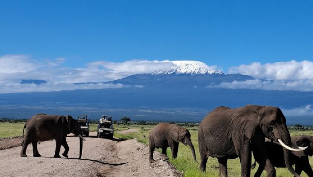 Lawatan Sehari Amboseli dari Nairobi