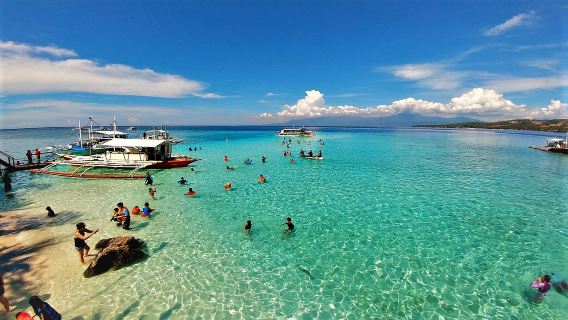 Philippines Cebu Oslob whale shark shared one-day tour | Sumilon Island + waterfall + Round-trip transfer