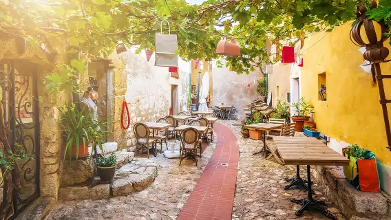  Half Day Shared Tour in Eze, Monaco and Monte Carlo