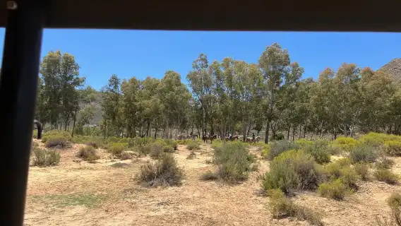 Aquila Game Reserve Big 5 ซาฟารีชมพระอาทิตย์ตกดินพร้อมไวน์