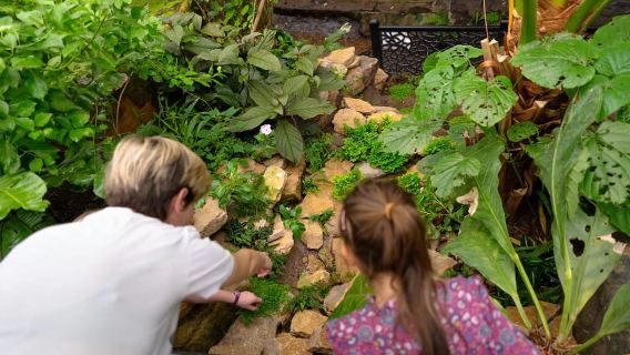 West Berkshire,UK: The Living Rainforest Centre Entry Ticket