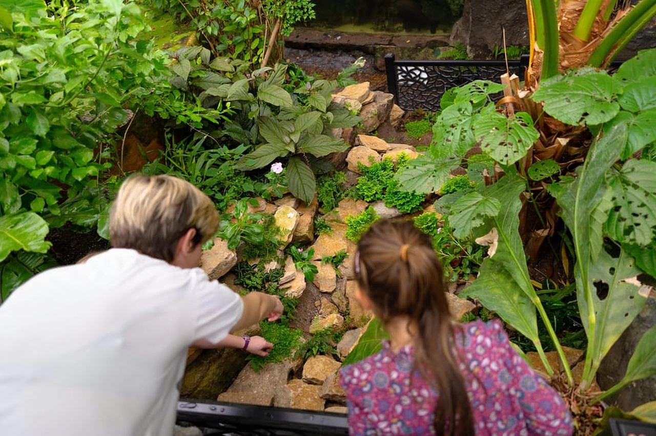 West Berkshire, Reino Unido: Entrada al Centro de la Selva Tropical Viva