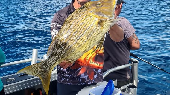 Sunshine Coast: Angeltouren