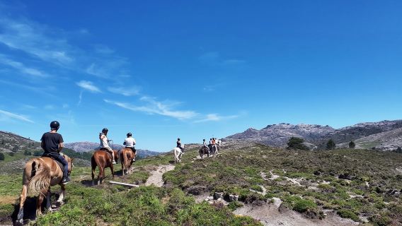 Gerês Braga: Menunggang Kuda di Taman Negara Peneda Gerês