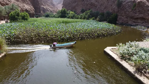 From Muscat: Wadi Shab & Bimmah Sinkhole Full-Day Tour