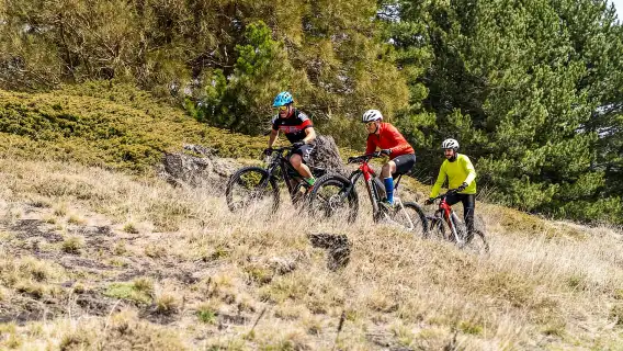 Mount Etna: Guided Mountain Bike Tour